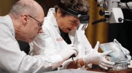 Boston University, boston, time capsule, first world war, WWI time capsule, time capsule first world war, world news