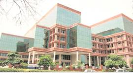 GMADA, tree plantation, afforestation, Chandigarh, Chandigarh newsline, Indian Express