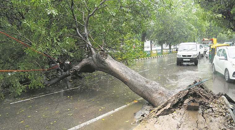 Bengaluru, rains, bengaluru rains, rainfall, bangalore weather, bangalore rain, indian express news, bengaluru news