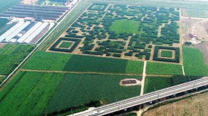 This Chinese village built a giant QR code with trees in a ...