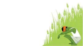 crops farmer 759 Mansa, Mansa farmers protest, Farmer deaths, Punjab farmers, punjab news, indian express news