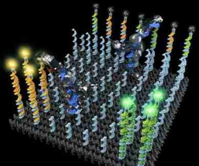 Nanorobot, DNA strand, California institute of Technology, Caltech nanorobot, novel therapeutic chemicals, drug delivery systems, nucleotides, cargo transportation, molecular robot, artificial molecular factory