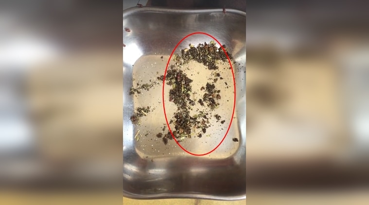 domino's, bugs found in domino's pizza, unhygienic food, bugs in pizza, indian express, indian express news