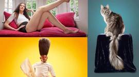 Guinness World Records, world record, Guinness World Records 2018, Guinness World Records 2017, Russian model, tallest leg, longest cat tail