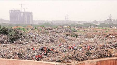 Noida dumping garbage ngt