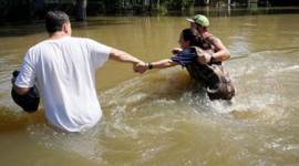 hurricane harvey, harvey storm, harvey flood, harvey floodwaters, harvey floodwaters, harvey deaths