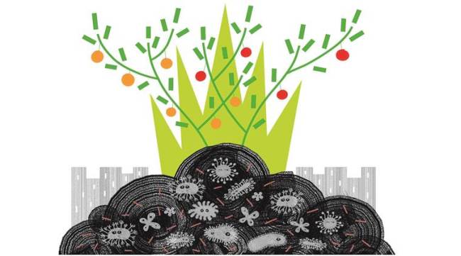 solid waste management, solid waste, compost, biodegradable substances, bioderadable waste, Swachh Bharat Mission, indian express news 