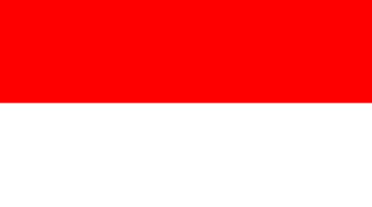 Indonesia, anti-communist protest, Indonesia protests, World news