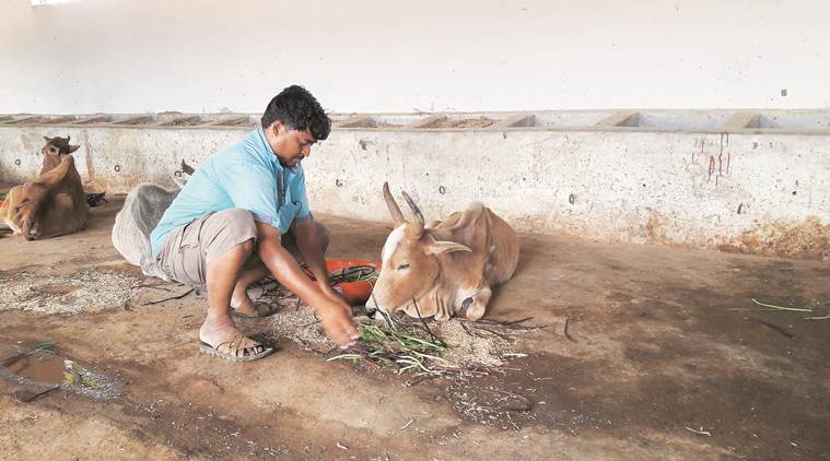 conversion, religious conversion, proselytisation, islam, hindu, rss, vinod khare, shah bano, hinduism, ghar waapsi, madhya pradesh, india news, indian express news