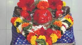 mu, archeologist, cems, Mumbai University, Centre for Extra Mural Studies, Mahim Creek Bandra Vasai Creek, salsette region, indian express