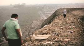 Landfills, pollution control board, urban landfills, garbage, waste, India news, Indian Express