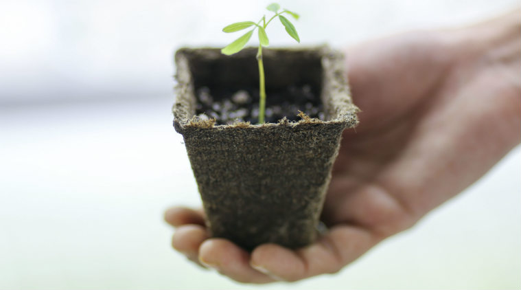 Landfill gas for dinner? Scientists to cook food from waste