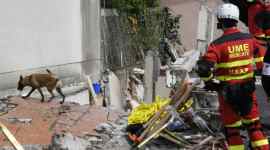 NASA, Mexico quake, NASA heartbeat detector, FINDER, Finding Individuals for Disaster and Emergency Response, NASA Jet Propulsion Laboratory, spacecraft radios, signal processing, trained dogs, sensing devices, thermal imagers