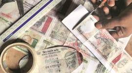 durga puja, durga puja celebrations, durga puja pandal, mamata banerjee, demonetisation, durga puja note ban, latest news, indian express