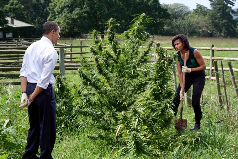 This 2009 Photo Of Obamas Planting Tree Has Inspired A Photo Battle