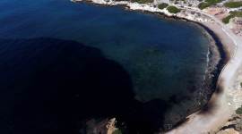 hurricane harvey, hurricane katrina, oil spill, texas storm, us coast guard, harvey oil spill, texas hurricane, world news, international news, us news, united states, indian express