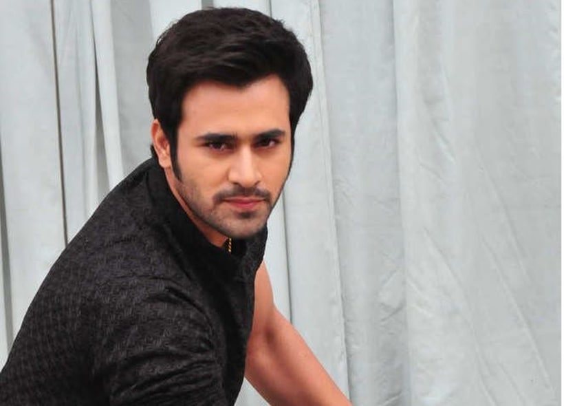 Bigg boss 11, Bigg boss 11 contestants, Bigg boss 11 final contestants, Bigg boss 11 Pearl V Puri, Pearl V Puri