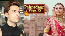 Pehredaar Piya Ki, Pehredaar Piya Ki starcast, Pehredaar Piya Ki sony television, Pehredaar Piya Ki Sony TV, Pehredaar Piya Ki Rohit Suchanti, Pehredaar Piya Ki Tejasswi Prakash, Tejasswi Prakash photos