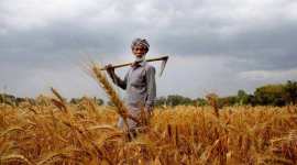 punjab-farmer punjab farmers, loan waiver, debt waiver, indian express, amarinder singh, punjab chief minister, jagdev singh, tamkot village