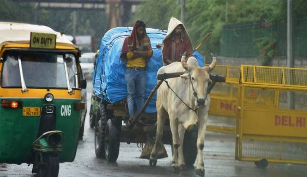 delhi rains, delhi weather, noida rains, delhi weather update, delhi weather forecast, delhi traffic, delhi rain pictures, #delhirains, delhi temperature, delhi pictures, delhi