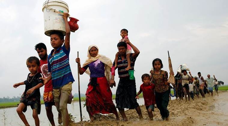 Rohingya, Myanmar, Myanmar Rohingya Violence, Myanmar Rohingya Escape, Rohingya Violence, Rohingya Escape, World News, Latest World News, Indian Express, Indian Express News