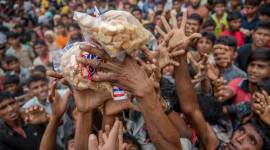 Rohingya muslims, rakhine state violence, myanmar rakhine state, rakhine state blast, Aung San Suu Kyi, Myanmar rohingya muslim community, world news, indian express news