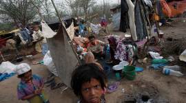 WHO appeals for contributions for health services to Rohingya refugees