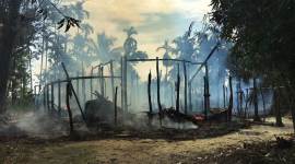 top stories, Rohingya refugee crisis, ryan school murder, rajnath singh, kashmir, hurricane irma, switzerland train crash, tom alter, World XI , poster boys