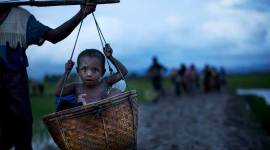rakhine state, rohingya, myanmar, genocide, rakhine fire, arkan rohingya salvation army, suu kyi, bangladesh, unhcr, united nations, indian express