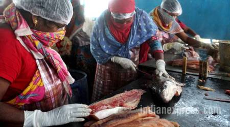 durga puja, durga puja 2017, sex workers, kolkata sex workers durga puja, sex workers fishery dept training, benfish sexworkers training, sonagachi sex workers fishery training, durbar wb fishery training, kolkata news, good news, indian express