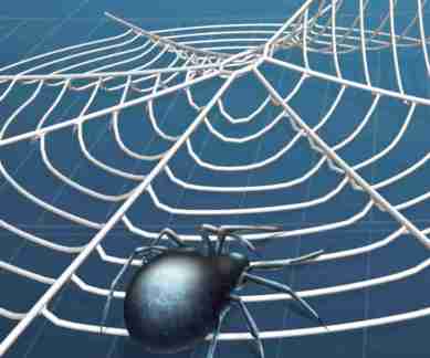 Spiderwebs and spider silk, explained