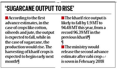 kharif crop, foodgrain production, kharif foodgrain output, indian express