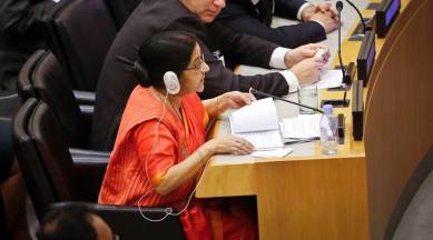 Sushma Swaraj, Sushma swaraj new york, terrorism, UNGA, United Nations, South Asia, EAM, India news, Indian express news