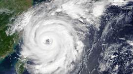 Typhoon Talim, Typhoon Talim in Japan, Typhoon Talim in Japan news, Kyushu, Typhoon distrupts transport system Japan, International news, World news