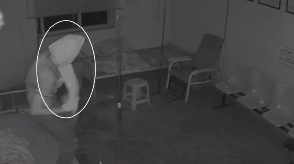 funny robbery videos, funny stealing videos, robbery videos, theif covers his face in toilet paper, indian express, indian express news