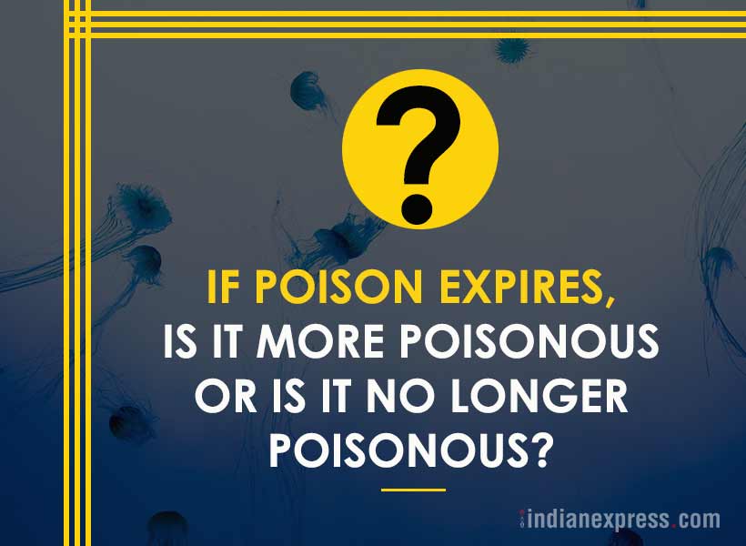life's biggest questions, weird life questions, 10 most funny questions, life, philosophical questions about life, quirky questions, questions about life, funny picture gallery, Indian express, Indian express news