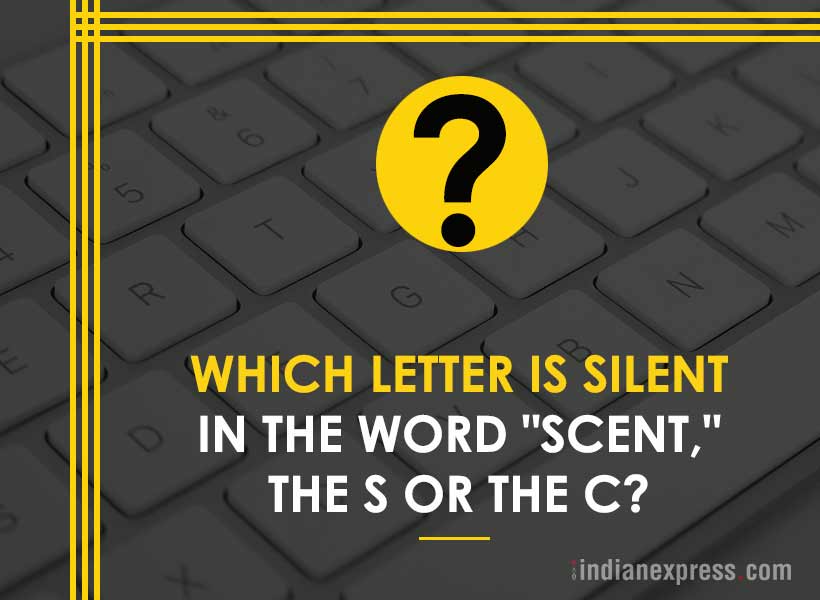 life's biggest questions, weird life questions, 10 most funny questions, life, philosophical questions about life, quirky questions, questions about life, funny picture gallery, Indian express, Indian express news