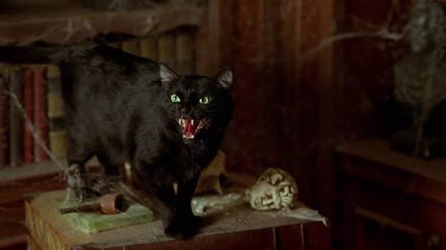 horror films bollywood, hindi horror films, horror film stereotypes, horror film cliches, horror movies bollywood, hindi horror movies, golmaal again, golmaal again horror comedy