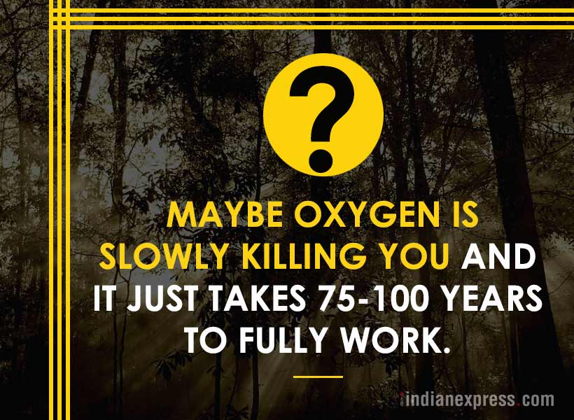life's biggest questions, weird life questions, 10 most funny questions, life, philosophical questions about life, quirky questions, questions about life, funny picture gallery, Indian express, Indian express news