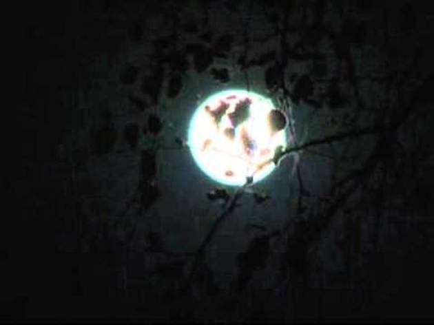 horror films bollywood, hindi horror films, horror film stereotypes, horror film cliches, horror movies bollywood, hindi horror movies, golmaal again, golmaal again horror comedy