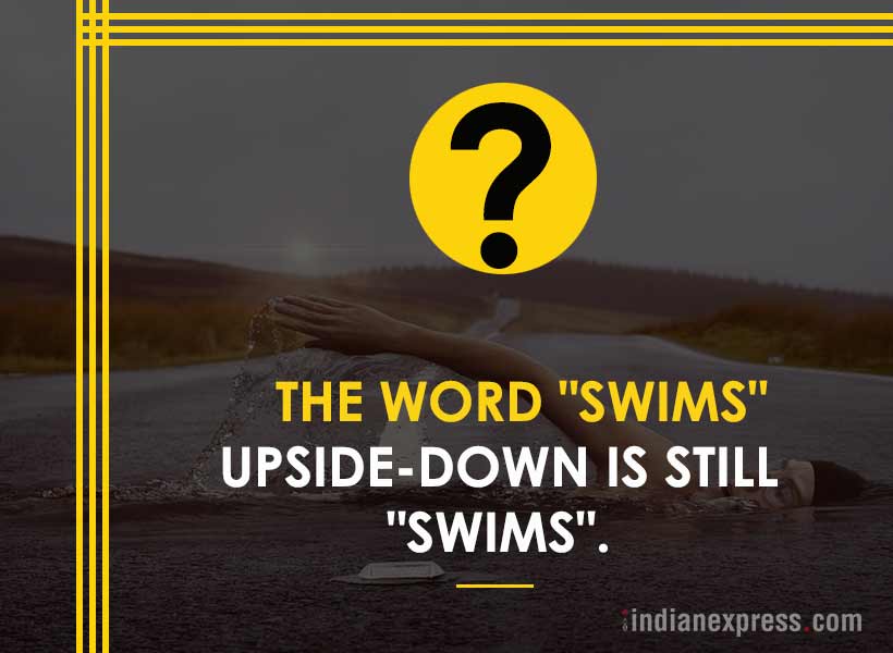 life's biggest questions, weird life questions, 10 most funny questions, life, philosophical questions about life, quirky questions, questions about life, funny picture gallery, Indian express, Indian express news