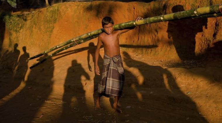 rohingya muslim, ethnic cleansing myanmar, ethnic cleansing of rohingya muslim, Rex Tillerson declare ethnic cleansing of rohingya, indian express news