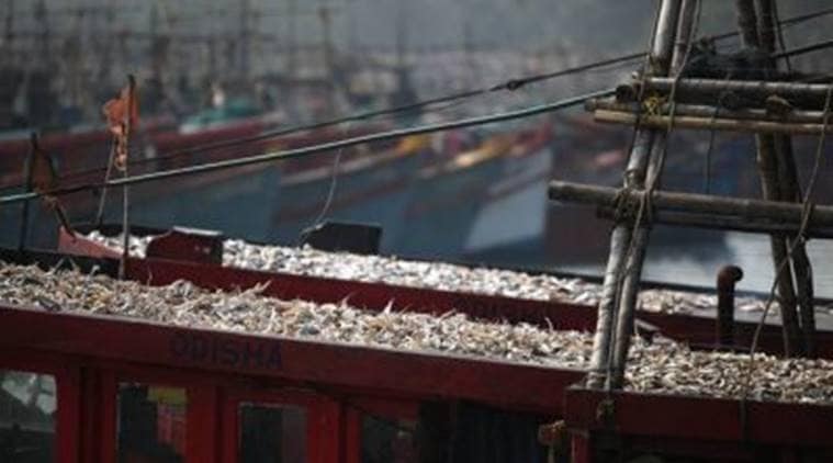 shipwrecks world war II, shipwrecks world war 2, shipwrecks from world war 2 salvaged, german ships world war 2 salvaged, german ships world war 2 fishing harbors, indian express news