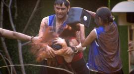 Bigg Boss 11, Bigg Boss 11 Weekend Ka Vaar October 24 preview, Bigg Boss 11 preview