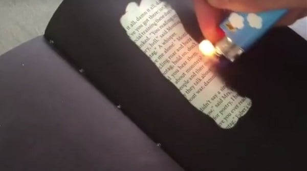 ray bradbury, ayn rand, book burn to read, Fahrenheit 451, indian express, indian express news