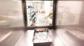 cancer 759 cancer, cancer treatment, cancer treatment medications, cancer treatment gene therapy, gene therapy cancer medication, india news