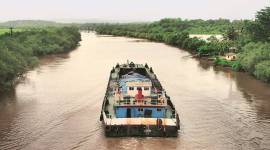 coal 2 759 Coal burying Goa, Goa coal, Indian Express coal series, goa, coal, coal in goa, coal profits, Mormugao Port, India news, Indian Express