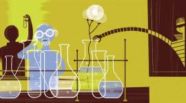 column intellectual property rights, ipr, narendra modi, nda govt, ipr, ipr news, arun jaitley, national intellectual property rights, ipr policy india, india ipr policy, ipr policy news, Prime Minister Narendra Modi, PM Modi, Bt cotton, mustard crop, mustard genetic engineering, gm cotton, cotton crop, gm mustard crop, gm mustard, govt gm mustard, genetic modified seeds, india news