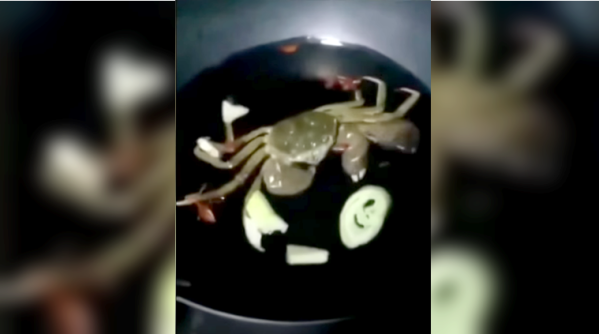 live crab eating ingredients, crab curry, CGTN video, Changsha city, Chinese restaurant, crab eating ingredients, social medi aviral, crab viral video, cooking crab, cooking crab viral video, indian express, indian express news