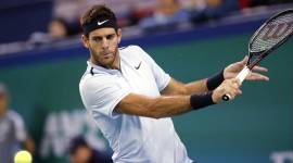 Juan Martin del Potro, del potro, Shanghai Masters, Alexander Zverev, Grigor Dimitrov, sports news, indian express